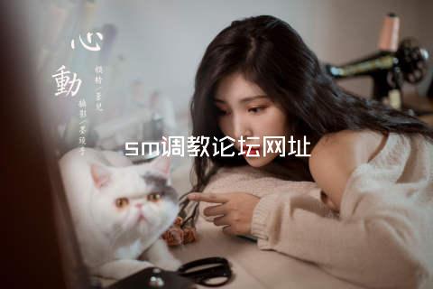 sm调教论坛网址